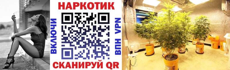 Виды наркоты Ухта Метамфетамин Марихуана МЕФ СОЛЬ Гашиш Cocaine